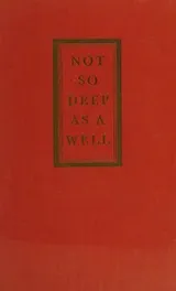 Cover of Not So Deep as a Well