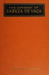Cover of THE ODYSSEY OF CABEZA DE VACA.