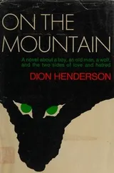 Cover of On the mountain
