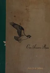 Cover of Our Amazing Birds