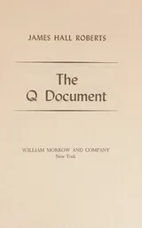 Cover of The Q Document