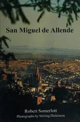 Cover of San Miguel De Allende