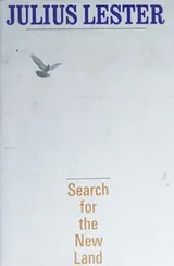 Cover of Search for the New Land