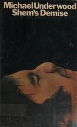Cover of Shem's demise