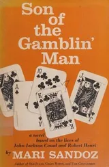 Cover of Son of the gamblin' man; the youth of an artist, a novel