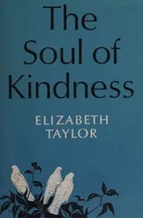 Cover of Soul of Kindness