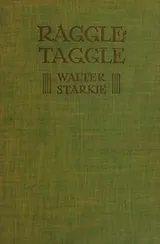 Cover of Spanish raggle-taggle