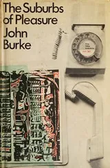 Cover of The suburbs of pleasure
