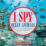 Cover of I SPY Ocean Animals