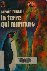 Cover of Terre Qui Murmure