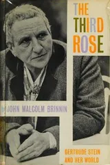 Cover of THIRD ROSE