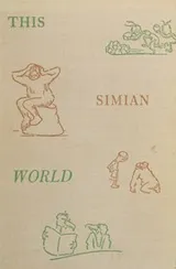 Cover of This simian world 1936 [Hardcover]