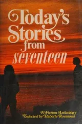 Cover of Today's stories from seventeen