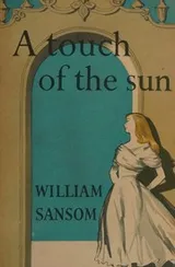 Cover of A touch of the sun