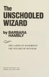 Cover of The unschooled wizard