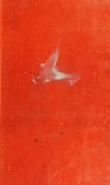 Cover of WAR AND PEACE