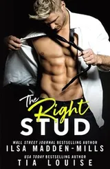 Cover of The Right Stud