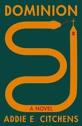 Cover of Dominion