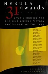 Cover of Nebula Awards 31