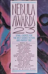 Cover of Nebula Awards 23
