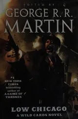 Cover of Low Chicago