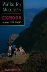 Cover of Walks for Motorists