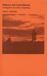 Cover of Patterns and Coincidences