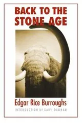 Cover of Back to the Stone Age