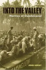 Cover of Into the valley