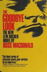 Cover of The goodbye look