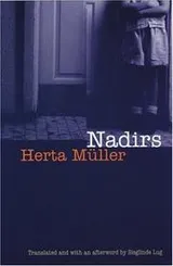 Cover of Niederungen