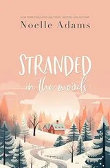 Cover of Stranded in the Woods