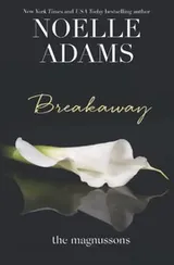 Cover of Breakaway