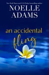Cover of Accidental Fling