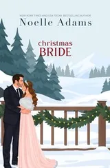 Cover of Christmas Bride