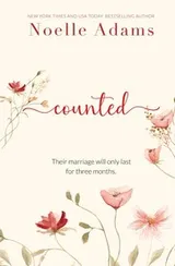 Cover of Counted