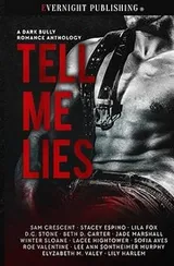 Cover of Tell Me Lies