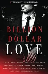 Cover of Billion Dollar Love