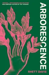 Cover of Arborescence