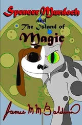 Cover of Spencer Murdoch and the Island of Magic
