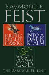Cover of The Darkwar Saga
