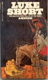 Cover of Ambush