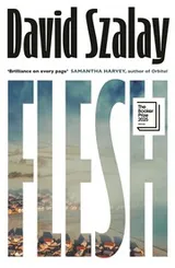 Cover of Flesh