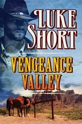 Cover of Vengeance Valley