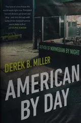 Cover of American by Day
