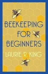 Cover of Beekeeping for Beginners