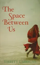 Cover of Space Between Us