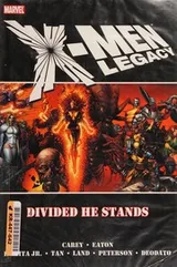 Cover of Divided he stands