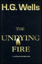 Cover of The undying fire