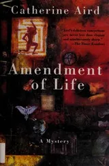 Cover of Amendment of Life